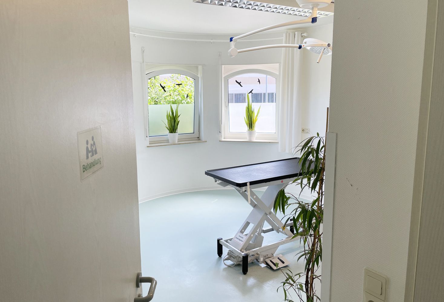 Behandlungszimmer-der-Kleintierpraxis-Buerstadt